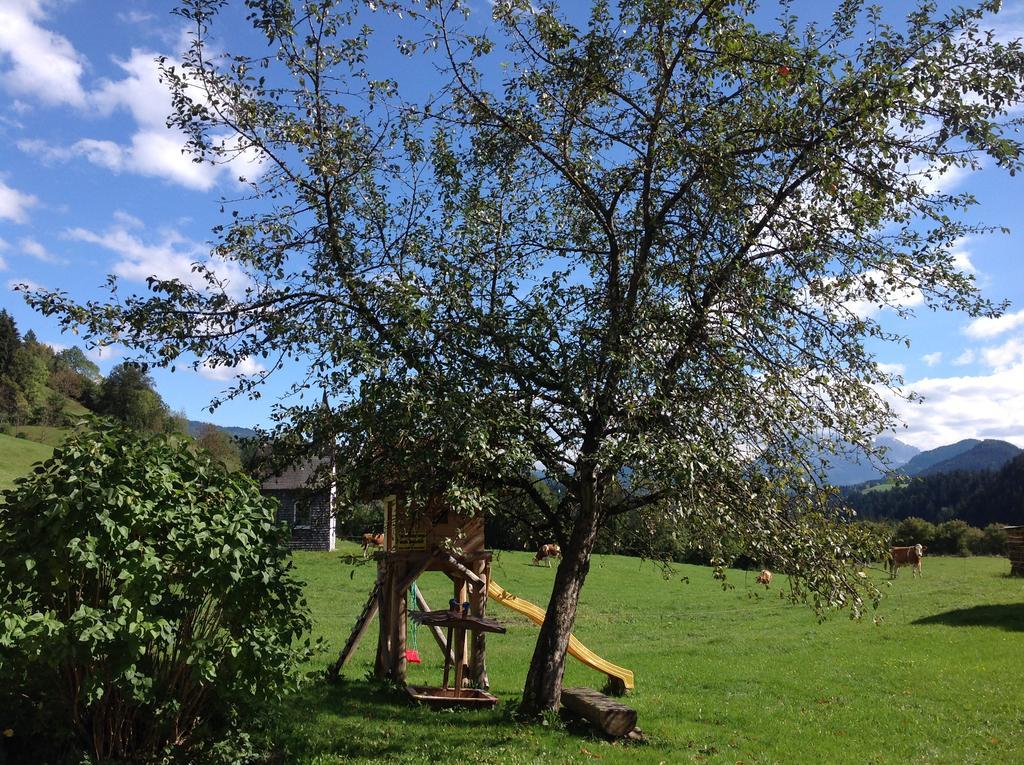 Ferienwohnung Strubbauer Urlaub Am Bauernhof Abtenau Dış mekan fotoğraf